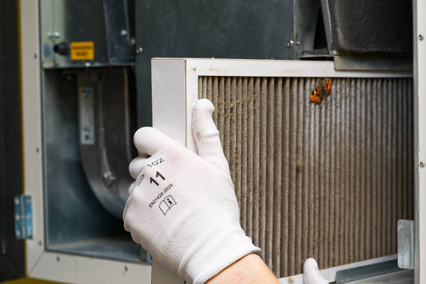 Best Air Duct Cleaning Company Near Me  in Greenwood, MO